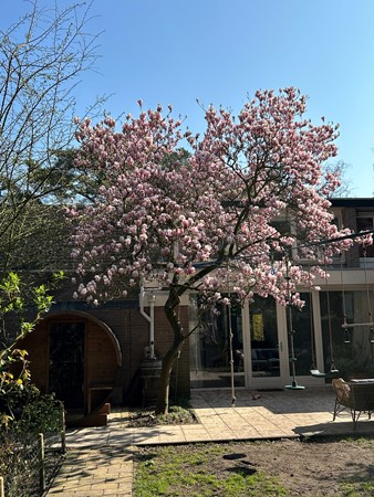 Medium property photo - Bilderdijkstraat 5, 5691 XV Son